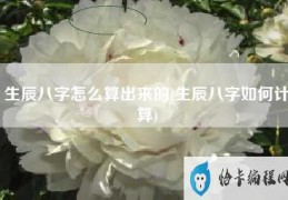 生辰八字怎么算出来的(生辰八字如何计算)