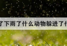 下雨了下雨了什么动物躲进了什么伞(蚂蚁躲在蘑菇下躲雨)