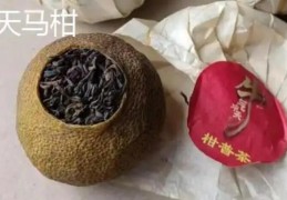 天马柑和小青柑的区别是什么