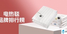 水暖电热毯哪个牌子好(全球十大电热毯品牌推荐)