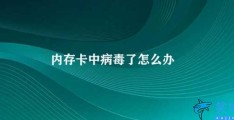 内存卡中病毒了怎么办(如何处理内存卡中的病毒)