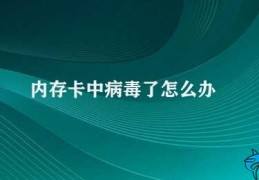 内存卡中病毒了怎么办(如何处理内存卡中的病毒)