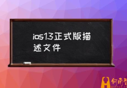 ios13信任的描述文件在哪？(ios13正式版描述文件)