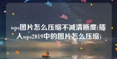 wps图片怎么压缩不减清晰度(插入wps2019中的图片怎么压缩)