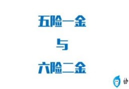 社会保险法缴纳细则(中华人民共和国社会保险法实施细则)