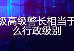 分析警长的职责和在警察部门中的地位(警长是什么职务)