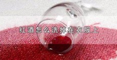 衣服染红酒怎么洗掉妙招(红酒渍怎么洗掉白衣服)