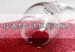 衣服染红酒怎么洗掉妙招(红酒渍怎么洗掉白衣服)