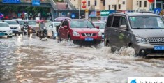 深圳暴雨红色预警全市停课