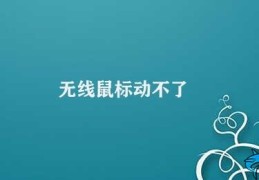 无线鼠标动不了(解决无线鼠标无法使用的方法)