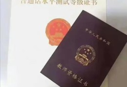 小学教师资格证报名条件(报考小学教资有什么要求)