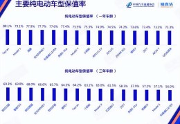 最新纯电电动车保值排名(纯电动汽车哪一款好)