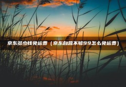 京东多少钱免运费（京东自营不够99怎么免运费）