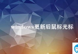 windows更新后鼠标光标没了(如何解决windows更新后鼠标光标不见的问题)