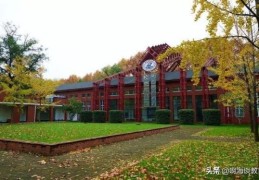 湖北省有多少比较好的大学(湖北有哪些大学)