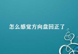 怎么感觉方向盘回正了(重新开始的力量)