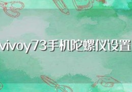 vivoy73手机陀螺仪设置(vivoY73的陀螺仪怎么用)