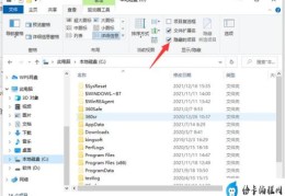 电脑隐藏文件夹打开方法(windows10如何显示隐藏文件)