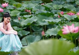 莲花女是什么意思干果的功效(莲花女是什么意思)