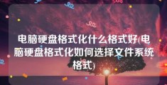 电脑硬盘格式化什么格式好(电脑硬盘格式化如何选择文件系统格式)