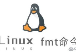 Linux的fmt命令有什么作用