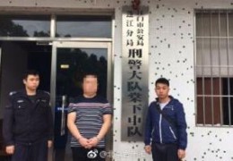 张学友演唱会一共捉了多少人参加(张学友演唱会一共捉了多少人)