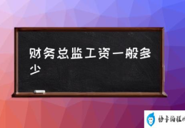 财务总监工资一般多少(财务总监的职责是什么？)