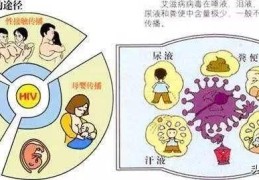 血检出现-hiv是什么症状？(hiv是什么)