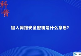 键入网络安全密钥是什么意思？(网络安全密钥是什么东西)