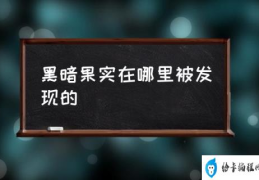 黑暗果实是谁的？(黑暗果实在哪里被发现的)