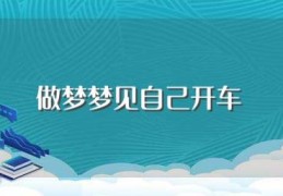 做梦梦见自己开车(做梦梦见自己开车的寓意)