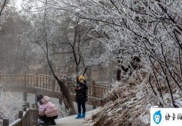 承德避暑山庄哪凉快（承德避暑山庄热河泉沿岸出现美丽雾凇景观）