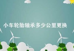 小车轮胎轴承多少公里更换(小车轮胎轴承的更换时间应该根据实际情况灵活把握)