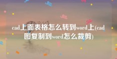 cad上面表格怎么转到word上(cad图复制到word怎么裁剪)