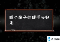 哪个牌子的睫毛夹好用(什么样的睫毛夹才好用？)