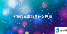 冬天汽车漏油是什么原因(冬季汽车漏油的原因及解决方法)