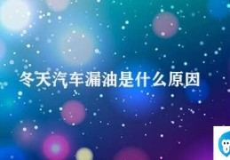 冬天汽车漏油是什么原因(冬季汽车漏油的原因及解决方法)