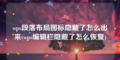 wps段落布局图标隐藏了怎么出来(wps编辑栏隐藏了怎么恢复)