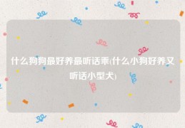 什么狗狗最好养最听话乖(什么小狗好养又听话小型犬)