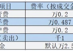 融资如何全仓买入一只股票(个人如何融资买入股票)