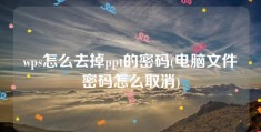 wps怎么去掉ppt的密码(电脑文件密码怎么取消)