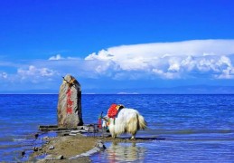 为你提供详尽青海旅游景点推荐及攻略(青海旅游攻略必去景点大全)