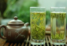 绿茶有哪些品种(全面介绍绿茶种类与品饮特点)