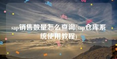 sap销售数量怎么查询(sap仓库系统使用教程)