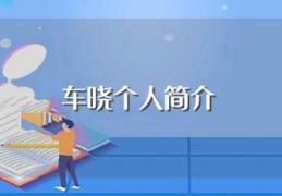 车晓个人简介(车晓介绍)