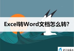 excel内容转化为word怎么操作(excel转换成word最简单的方法)