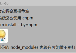 详解npm和cnpm混用的坑