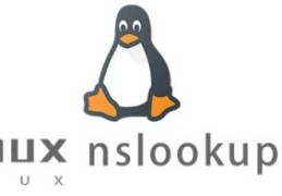 Linux的nslookup命令如何使用