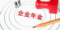 个人企业年金是什么意思(企业年金是什么意思)