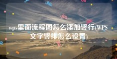 wps里面流程图怎么添加竖行(WPS文字竖排怎么设置)